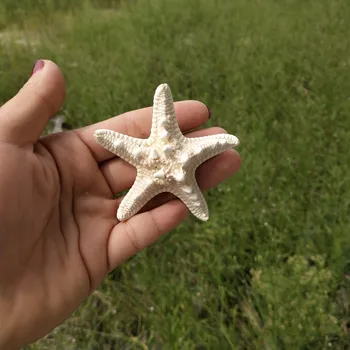 10pcs 5-8cm dabas, jūras zvaigzne Vidusjūras Stila DIY Mākslīgā jūras zvaigzne shell Grupa Kāzu mājas dekoru amatniecības balto gliemežnīcu
