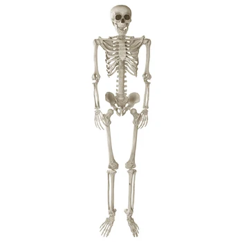 165cm Halloween Skelets Rīks Brīvdienu Puse Piederumi, room escape Holiday Grūts Sīkrīku Komplekts Terora Plastmasas Halloween Skelets